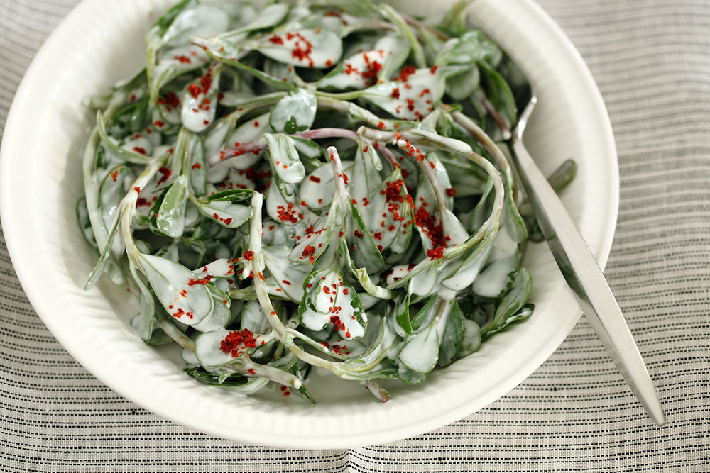 Semizotu Salatası (Porsiyon)
